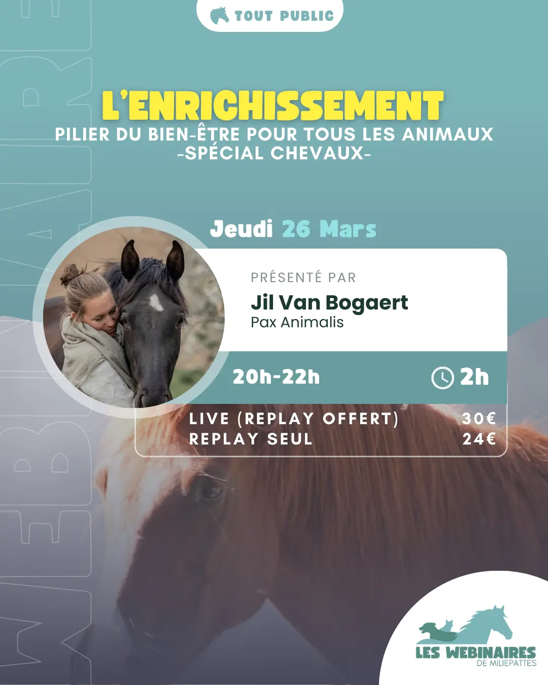 Un cheval qui s’ennuie au box, des repas engloutis en un rien de temps , une frustration liée au manque d’interaction ou d’exploration. Et si ton cheval s'ennuyait ? À chaque problématique, des solutions enrichissantes que Jil te propose de découvrir ! L'enrichissement de la vie de ton cheval : ton nouveau objectif !