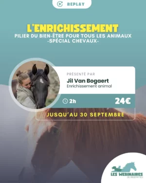 L’enrichissement : pilier du bien-être pour tous les animaux - Spécial Chevaux