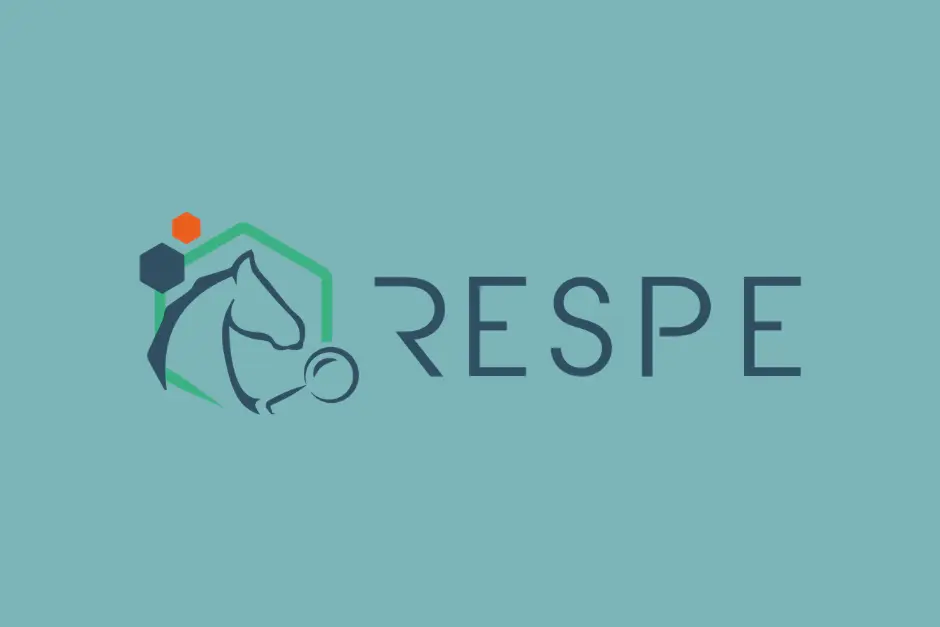 Miniature article RESPE
