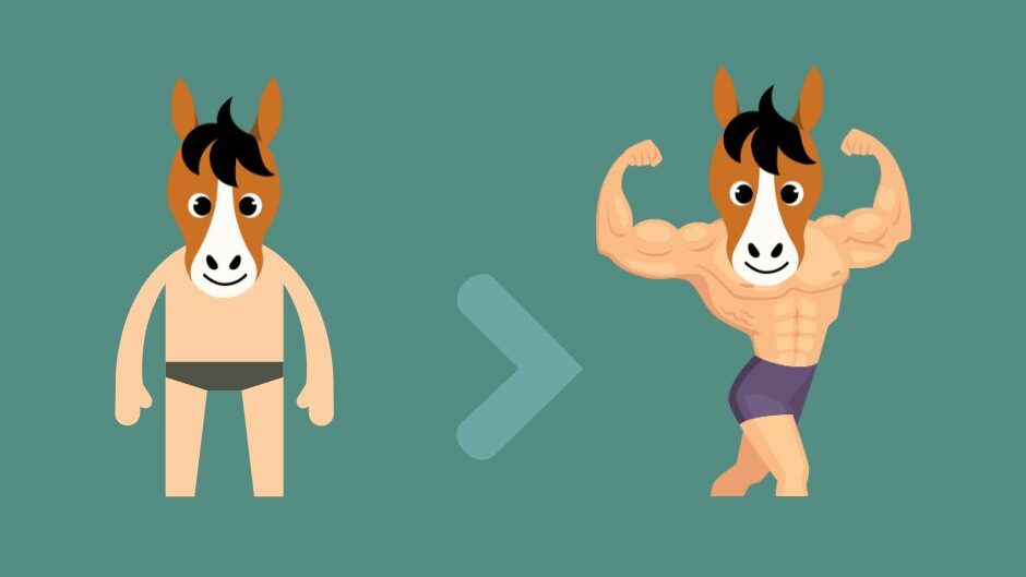 Un cheval manque de muscle, pas de travail : alimentation, santé et environnement sont les vraies causes d’un cheval démusclé. Sauf si on souhaite avoir un cheval bodybuildé, sans ce cas, il faudra augmenter intelligemment la charge de travail.