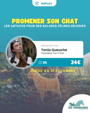 Promener ton chat mission impossible ? Pas du tout ! Découvre comment transformer ton félin en cha’venturier serein : harnais, laisse, sécurité et gestion des imprévus… même s’il n’a jamais mis une patte dehors.