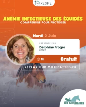 L’anémie infectieuse des équidés (AIE) est une maladie virale grave qui touche les chevaux, les ânes et les mulets. Il n'existe pas de traitement, les animaux sont contagieux à vie et la règle, c'est l'euthanasie. Alors comment éviter d'en arriver là ? Rejoins-nous pour ce webinaire gratuit !