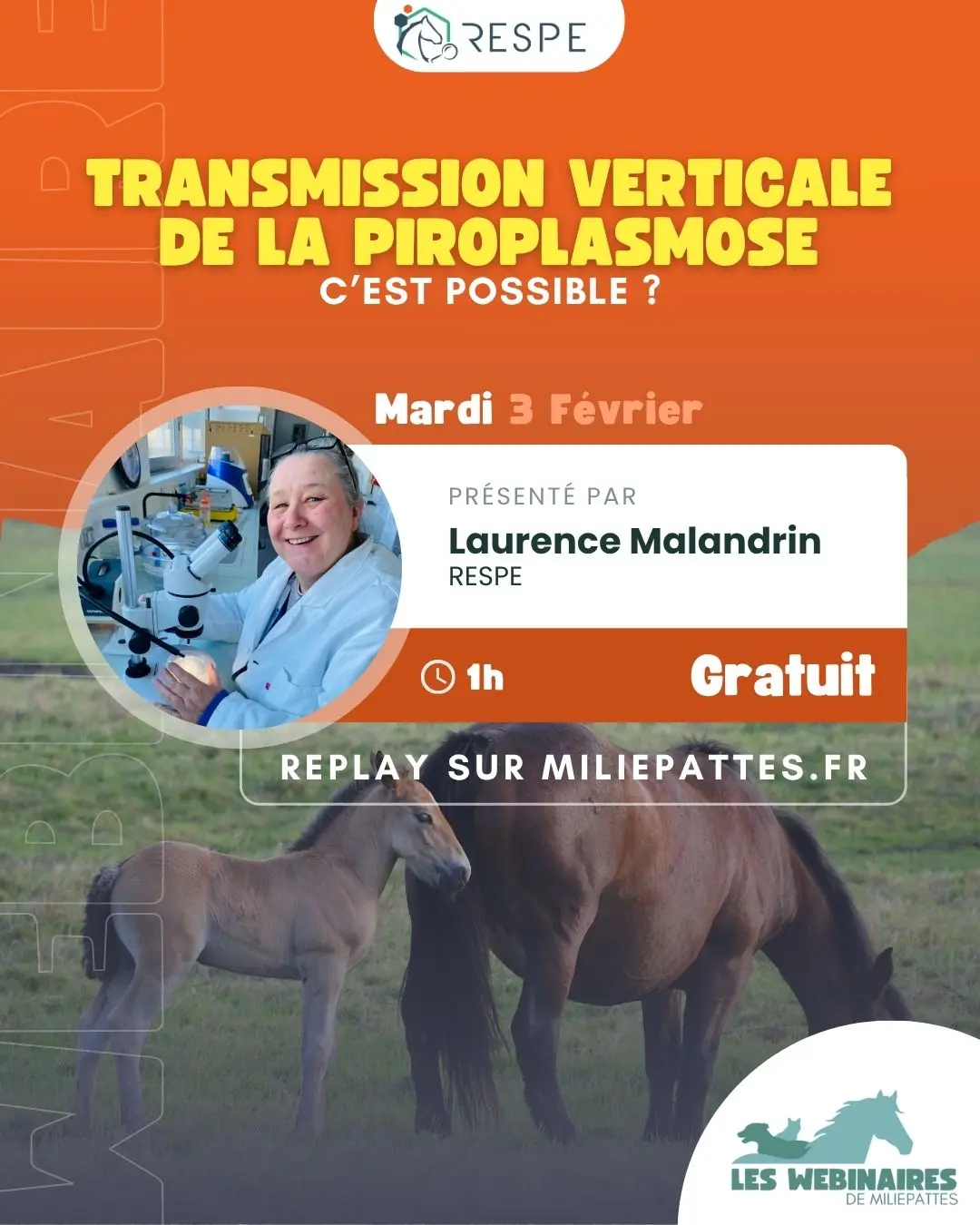 La transmission verticale de Theileria equi, donc de la jument porteuse à son poulain, c'est possible ? Oui, mais comment ? C’est l’objectif du nouveau projet de sciences participatives PiroM2F (Piro Mare to Foal) dont vous parle Laurence Malandrin, chercheuse à l'INRAE. Accessible à tous !