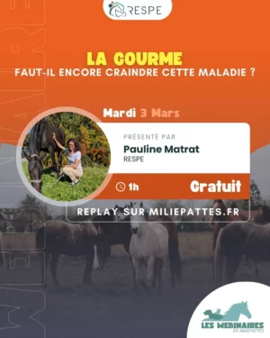 Dr Pauline Matrat te donne toutes les clés de la gourme : signes cliniques, comment faire si tu as un foyer dans ton écurie, quelles protections pour ton cheval ?