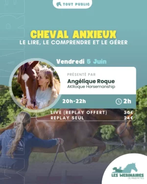 Sans la parole, le cheval est sans cesse entrain de communiquer avec nous. Comment savoir ce qu'il dit si on est pas LV2 cheval ? Angélique vous propose de vous glisser quelques instants dans la tête d'un cheval pour pouvoir mieux le comprendre.