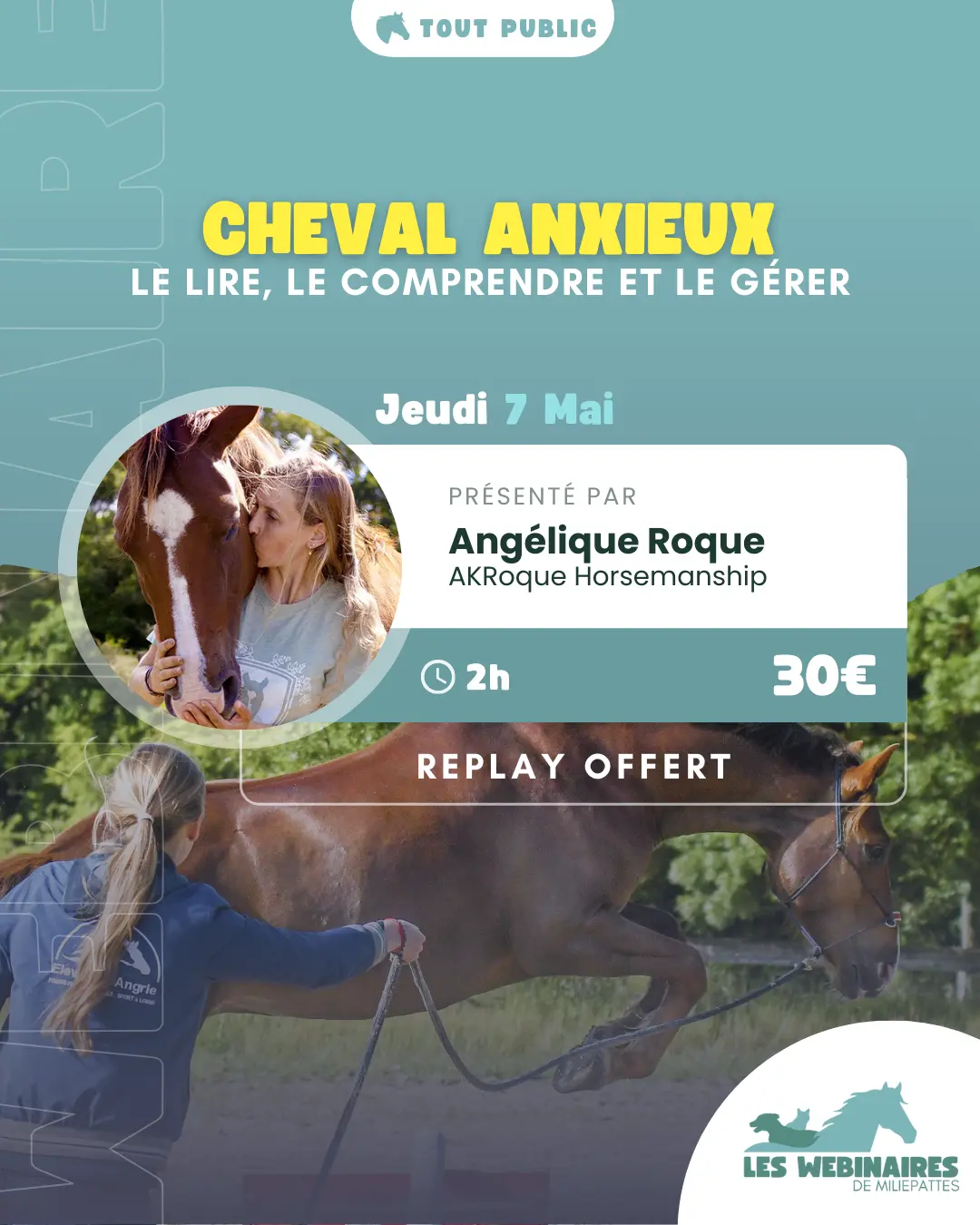 Sans la parole, le cheval est sans cesse entrain de communiquer avec nous. Comment savoir ce qu'il dit si on est pas LV2 cheval ? Angélique vous propose de vous glisser quelques instants dans la tête d'un cheval pour pouvoir mieux le comprendre.