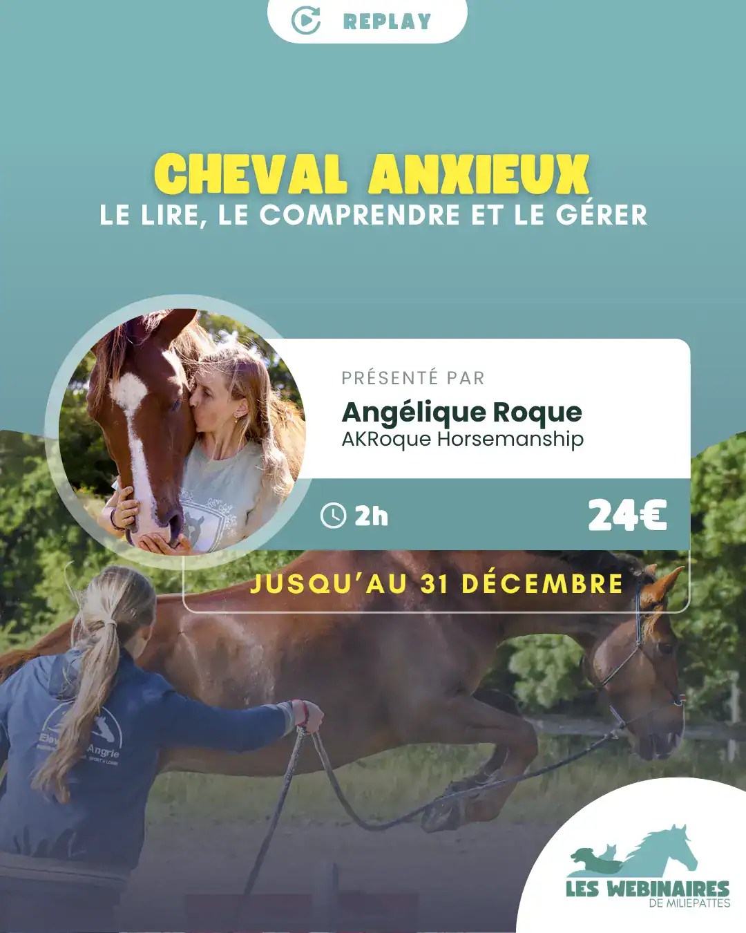 Sans la parole, le cheval est sans cesse entrain de communiquer avec nous. Comment savoir ce qu'il dit si on est pas LV2 cheval ? Angélique vous propose de vous glisser quelques instants dans la tête d'un cheval pour pouvoir mieux le comprendre.