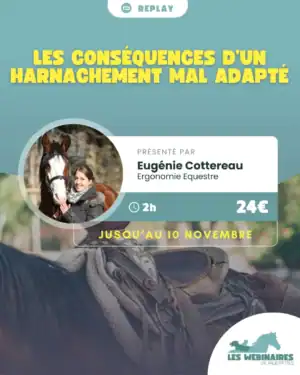 Entre les problèmes locomoteurs inexplicables, les blessures à répétition, les asymétries qu'on arrive pas à corriger ... Et si tout ça venait du matériel qu'on utilise ? Rejoignez le formidable univers d'Eugénie Cottereau et plongez vous dans l'ergonomie équestre !
