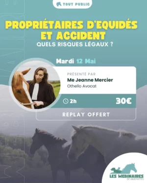 Qui est responsable si ton cheval cause un accident ? Et s'il te blesse ? Es-tu responsable si ton cheval blesse quelqu'un ? Et s'il casse du matériel ? Que dit la loi ? Me Jeanne Mercier, avocate, t'explique tout au droit équin !