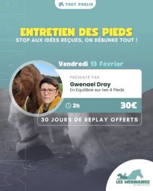 Entre la graisse, le seimes persistantes, les problèmes qu'on arrive pas à résoudre, c'est pas toujours simple de faire le tri dans les informations qu'on reçoit sur les pieds. Gwenael t'emmène faire le tour des idées reçues sur l'entretien des pieds !