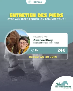 Entre la graisse, le seimes persistantes, les problèmes qu'on arrive pas à résoudre, c'est pas toujours simple de faire le tri dans les informations qu'on reçoit sur les pieds. Gwenael t'emmène faire le tour des idées reçues sur l'entretien des pieds !