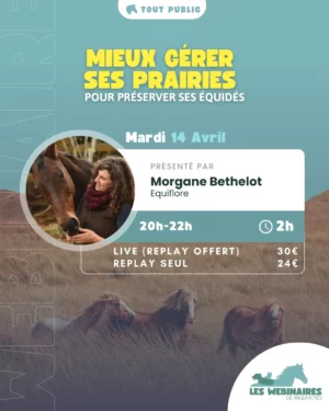 Marre de voir tes prairies souffrir des sécheresses et pluies extrêmes ? Dans ce webinaire, découvre avec Morgane Bethelot (Equiflore) comment choisir les bonnes plantes, intégrer des haies fourragères et adapter ta gestion pour nourrir tes chevaux tout en préservant la biodiversité.