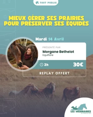 Marre de voir tes prairies souffrir des sécheresses et pluies extrêmes ? Dans ce webinaire, découvre avec Morgane Bethelot (Equiflore) comment choisir les bonnes plantes, intégrer des haies fourragères et adapter ta gestion pour nourrir tes chevaux tout en préservant la biodiversité.