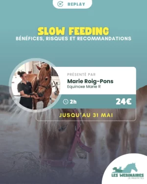 Certains chevaux ont un apport en foin limité, que ce soit pour des raisons de santé ou indépendamment de la volonté de certains propriétaires. On peut alors se tourner vers le slow-feeding, comme les filets à foin Mais est-ce efficace ? Quels sont les risques ? Marie te dit tout !