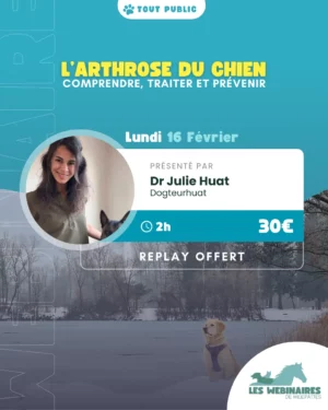«  Il est vieux il a surement de l’arthrose ». On a tous entendu (ou prononcé) cette phrase un jour. On estime aujourd’hui que la maladie touche 20 % des chiens adultes mais concrètement qu’est ce que ça implique ? Rejoins le Dr Julie Huat pour tout comprendre à cette pathologie.