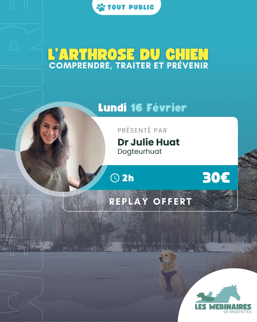«  Il est vieux il a surement de l’arthrose ». On a tous entendu (ou prononcé) cette phrase un jour. On estime aujourd’hui que la maladie touche 20 % des chiens adultes mais concrètement qu’est ce que ça implique ? Rejoins le Dr Julie Huat pour tout comprendre à cette pathologie.