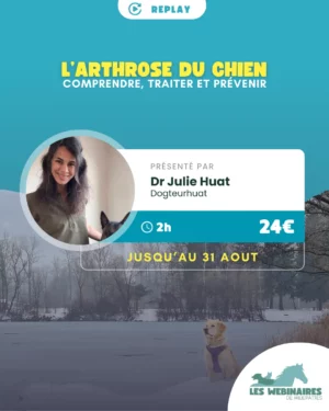 «  Il est vieux il a surement de l’arthrose ». On a tous entendu (ou prononcé) cette phrase un jour. On estime aujourd’hui que la maladie touche 20 % des chiens adultes mais concrètement qu’est ce que ça implique ? Rejoins le Dr Julie Huat pour tout comprendre à cette pathologie.
