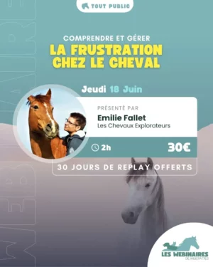 Tu veux utiliser la récompense alimentaire pour des séances plus agréables avec ton cheval… et pourtant il frustre ? La frustration n’est pas une fatalité : ce webinaire t’apprend à comprendre ses réactions, identifier les vraies causes et transformer vos séances en moments calmes et constructifs