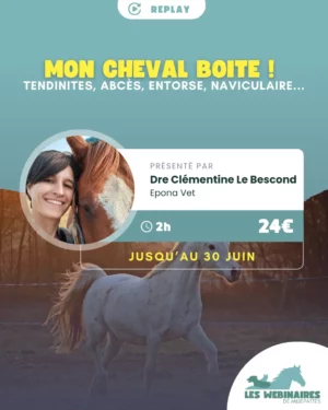 Ton cheval se met à boiter sans une égratignure ? Dre Clémentine Le Bescond décortique les boiteries basses : abcès, tendinites, syndrome naviculaire …