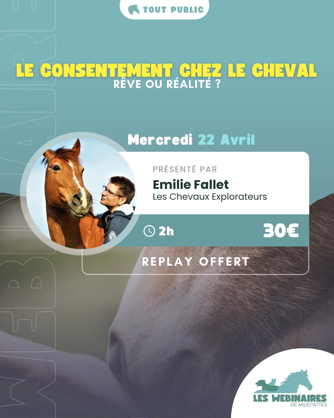 Est-ce qu'un cheval peut consentir ?Si oui, comment on fait ? On est obligé de passer sur du R+?Et s'il dit "non"?Avec Emilie Fallet, explore le concept de consentement.