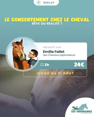Est-ce qu'un cheval peut vraiment consentir ? Si oui, comment on fait ? On est obligé de passer sur du R+ uniquement ? Et s'il dit "non" à tout ? Avec Emilie Fallet, explore le concept de consentement qui n'est pas juste un truc de Bisounours hippies idéalistes (promis !)