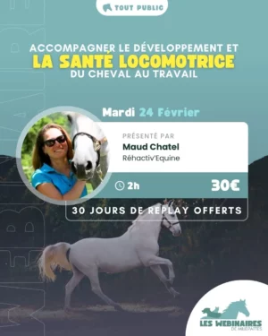 La blessure de son cheval est la phobie de bon nombre de cavaliers. Comment faire pour pratiquer son sport en préservant la santé locomotrice de mon compagnon ? Est-ce que je peux éviter les tendinites et autres horreurs ? Maud te répond !