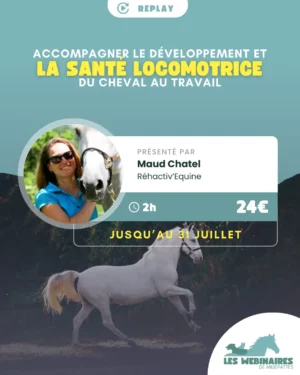 La blessure de son cheval est la phobie de bon nombre de cavaliers.  Comment faire pour pratiquer son sport en préservant la santé locomotrice de mon compagnon ? Est-ce que je peux éviter les tendinites et autres horreurs ? Maud te répond !