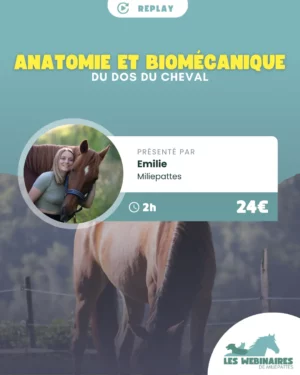 Sais-tu quels sont les mouvements que peut faire chaque vertèbre ? Et pourquoi seller en avant incite mécaniquement son cheval à se mettre sur les épaules ? Let's go pour être incollable sur l'anatomie et la biomécanique du rachis !