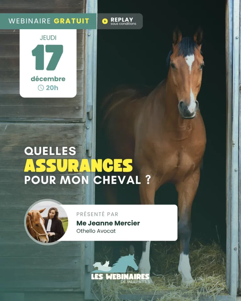 Quelles assurances pour mon cheval ?