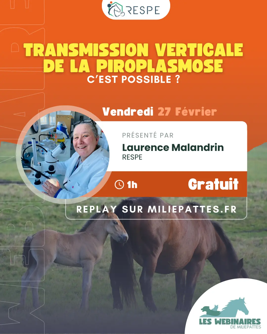 La transmission verticale de Theileria equi, donc de la jument porteuse de la piroplasmose à son poulain, c'est possible ? Oui, mais comment ? C’est l’objectif du nouveau projet de sciences participatives PiroM2F (Piro Mare to Foal) dont vous parle Laurence Malandrin, chercheuse à l'INRAE. Accessible à tous !