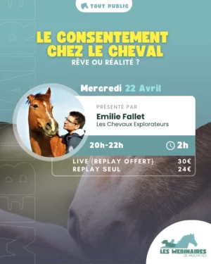 Est-ce qu'un cheval peut vraiment consentir ? Si oui, comment on fait ? On est obligé de passer sur du R+ uniquement ? Et s'il dit "non" à tout ? Avec Emilie Fallet, explore le concept de consentement qui n'est pas juste un truc de Bisounours hippies idéalistes (promis !)