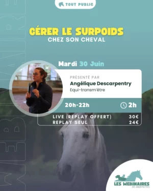 Qui galère avec son cheval trop gros ? (Moi) Angélique Descarpentry t'explique tout et t'apporte des stratégies pratiques à mettre en place.