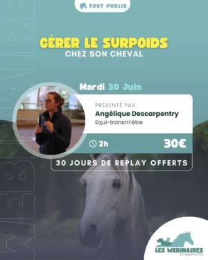 Qui galère avec son cheval trop gros ? (Moi) Angélique Descarpentry t'explique tout et t'apporte des stratégies pratiques à mettre en place.