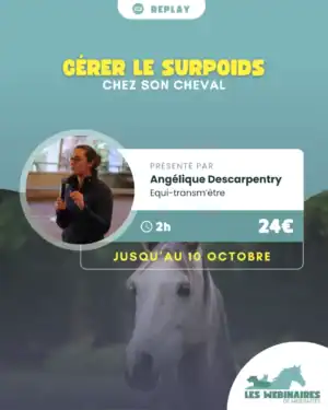 Qui galère avec son cheval trop gros ? (Moi) Angélique Descarpentry t'explique tout et t'apporte des stratégies pratiques à mettre en place.