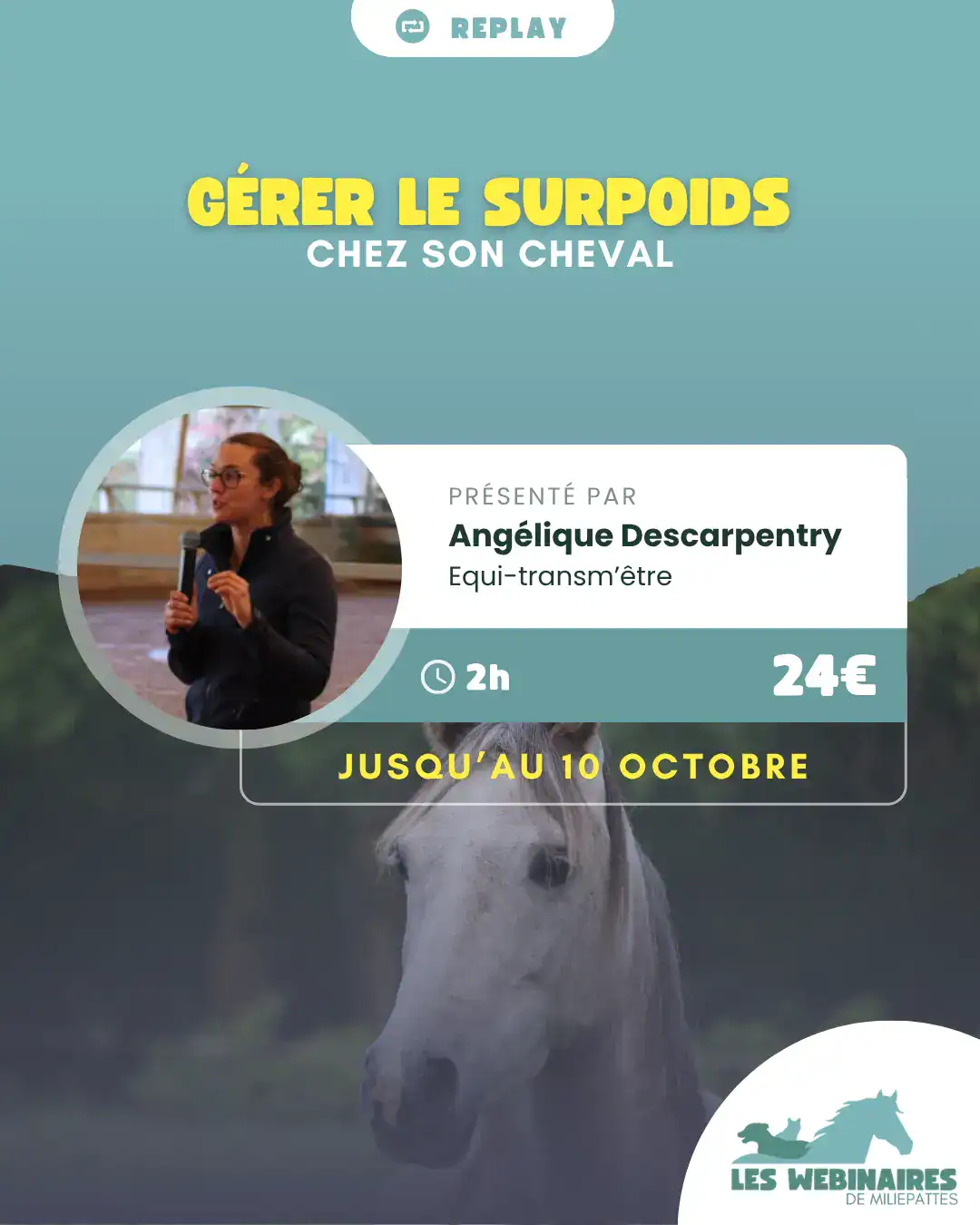 Qui galère avec son cheval trop gros ? (Moi) Angélique Descarpentry t'explique tout et t'apporte des stratégies pratiques à mettre en place.