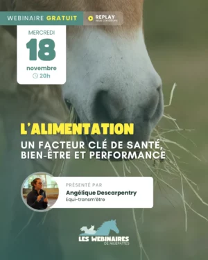 Comment mettre en place une alimentation qui soit adaptée à l’ensemble des besoins de mon cheval ?  Dans ce webinaire, Angélique, nutritionniste équin, met en lumière l'importance de l'adaptation.