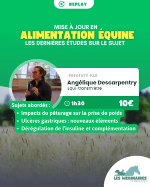 Prise de poids et gestion du pâturage, santé, compléments alimentaires, c’est parti pour un tour d’horizon des nouveaux papiers et de leurs conclusions sur ces sujets. Après deux précédentes éditions, on vous propose de repartir pour une troisième session d’exploration d’études scientifiques récentes sur de nouveaux sujets ! 