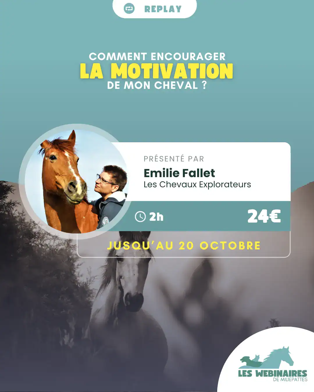 T'es-tu déjà demandé pourquoi ton cheval faisait tout ce qu'il fait pour toi ? Comment est-ce que tu peux susciter son intérêt ? Comment lui donner envie ? Finalement, comment le motiver ? Emilie Fallet, comportementaliste équin, te parle du fonctionnement de la motivation du cheval.