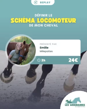 Aucun cheval n'est parfaitement symétrique.  Vous avez peut-être déjà défini si votre cheval est droitier ou gaucher, et si on allait plus loin ?