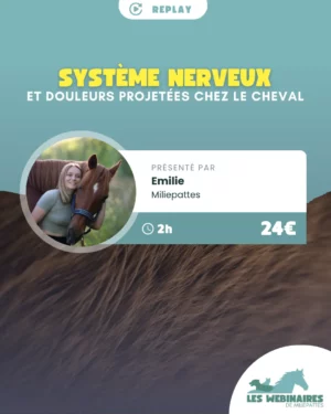 Pourquoi un cheval ulcéreux est sensible au passage de sangle et au niveau du garrot ? Pourquoi des douleurs ovariennes rendent la peau du dos et de l'abdomen si sensible ? Avec ce webinaire, vous comprenez ENFIN.
