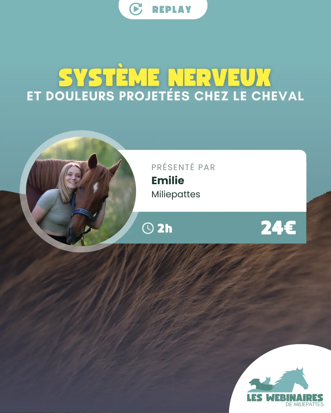 Pourquoi un cheval ulcéreux est sensible au passage de sangle et au niveau du garrot ? Pourquoi des douleurs ovariennes rendent la peau du dos et de l'abdomen si sensible ? Avec ce webinaire, vous comprenez ENFIN.