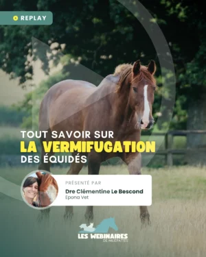 Comment tu vermifuges ton cheval ? Tu sais pourquoi ? Strongles et tutti quanti, tu y comprends quelque chose ? Dre Clémentine Le Bescond décortique tout ça pour toi !