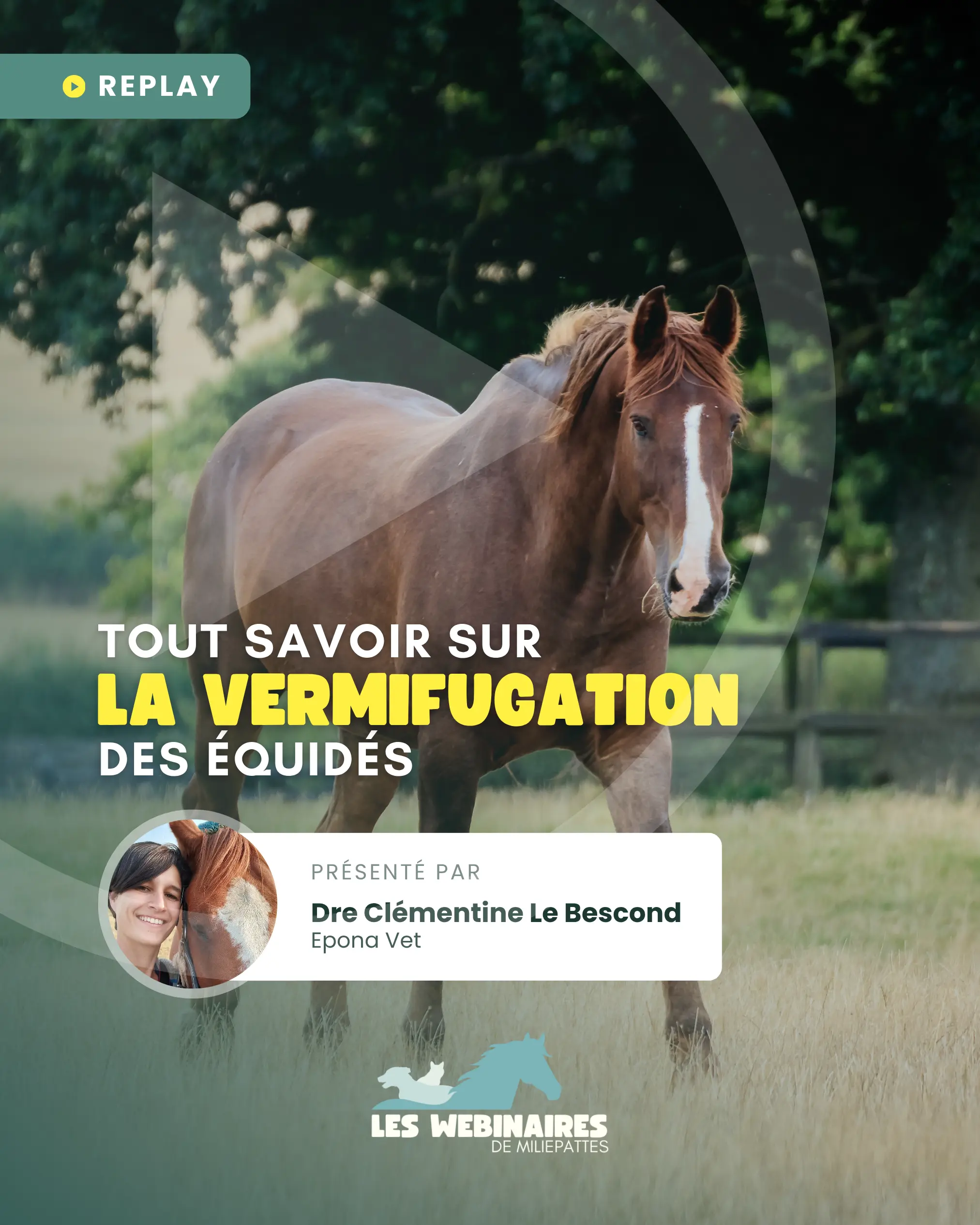 Comment tu vermifuges ton cheval ? Tu sais pourquoi ? Strongles et tutti quanti, tu y comprends quelque chose ? Dre Clémentine Le Bescond décortique tout ça pour toi !