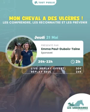 Les ulcères gastriques affectent bien plus de chevaux qu’on ne le pense. Apprends à les reconnaître, les traiter et surtout à les prévenir.