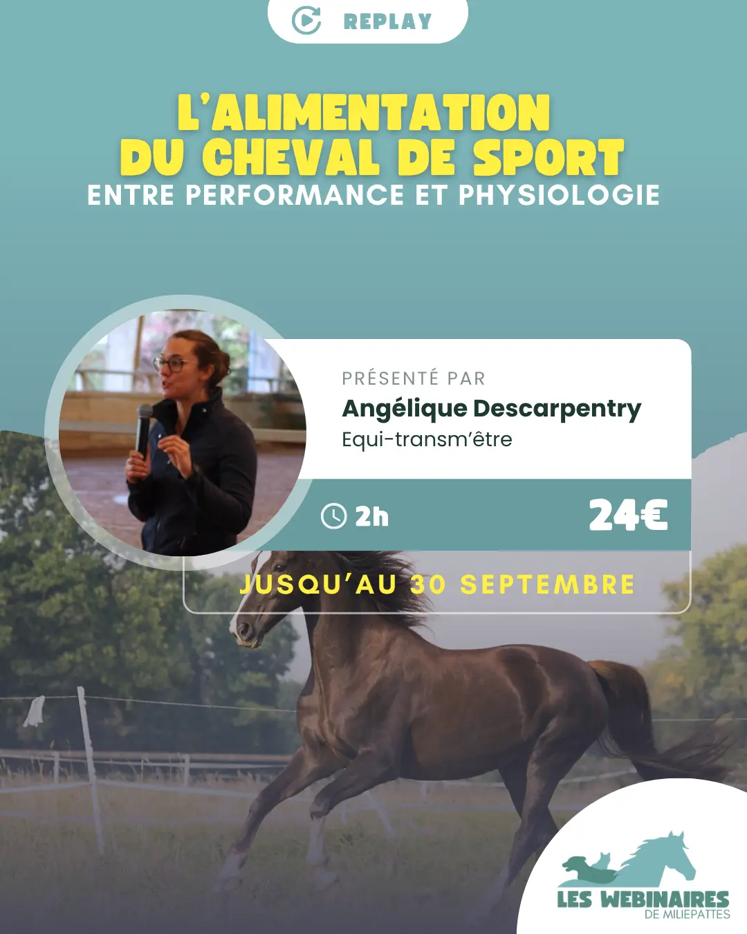 L'alimentation des chevaux de sport finit souvent par les rendre malades, mais pourquoi ? Amidon en excès, repas fractionnés, manque de fibres... On veut bien faire, mais on s'éloigne des besoins vitaux. Découvre comment nourrir ton cheval de sport comme un cheval à qui on demande de performer.