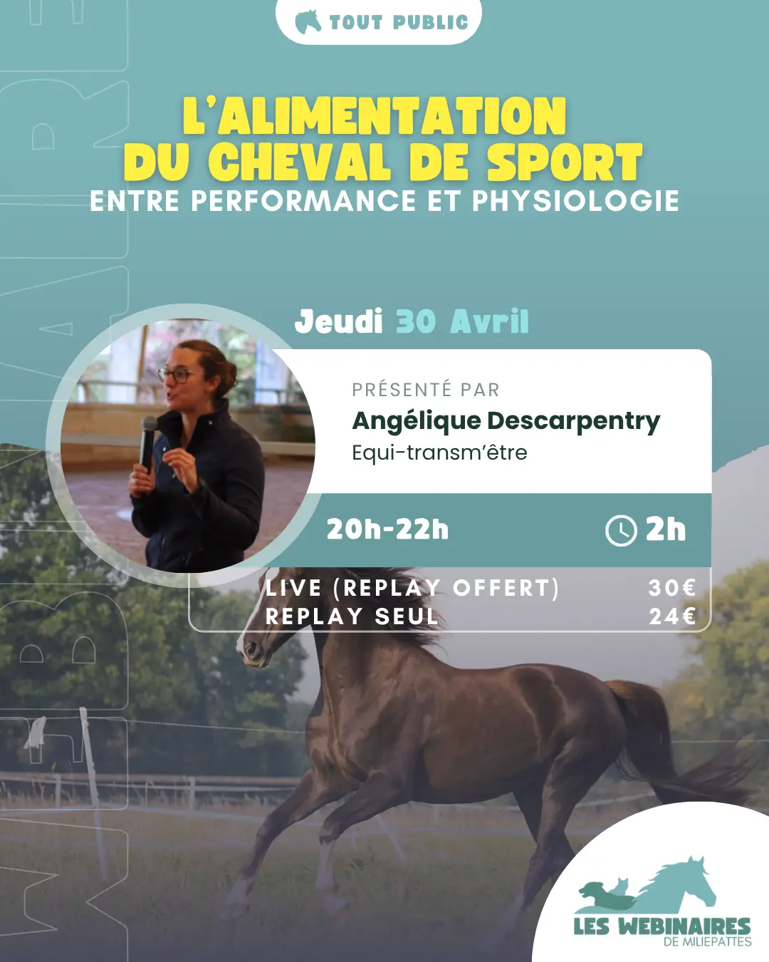 L'alimentation des chevaux de sport finit souvent par les rendre malades, mais pourquoi ? Amidon en excès, repas fractionnés, manque de fibres... On veut bien faire, mais on s'éloigne des besoins vitaux. Découvre comment nourrir ton cheval de sport comme un cheval à qui on demande de performer.