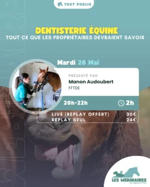 Même si on fait voir notre cheval au technicien dentaire équin tous les ans par défaut, la bouche et les dents restent un mystère pour beaucoup. Manon Audoubert te plonge dans la bouche du cheval pour y voir un peu plus clair.