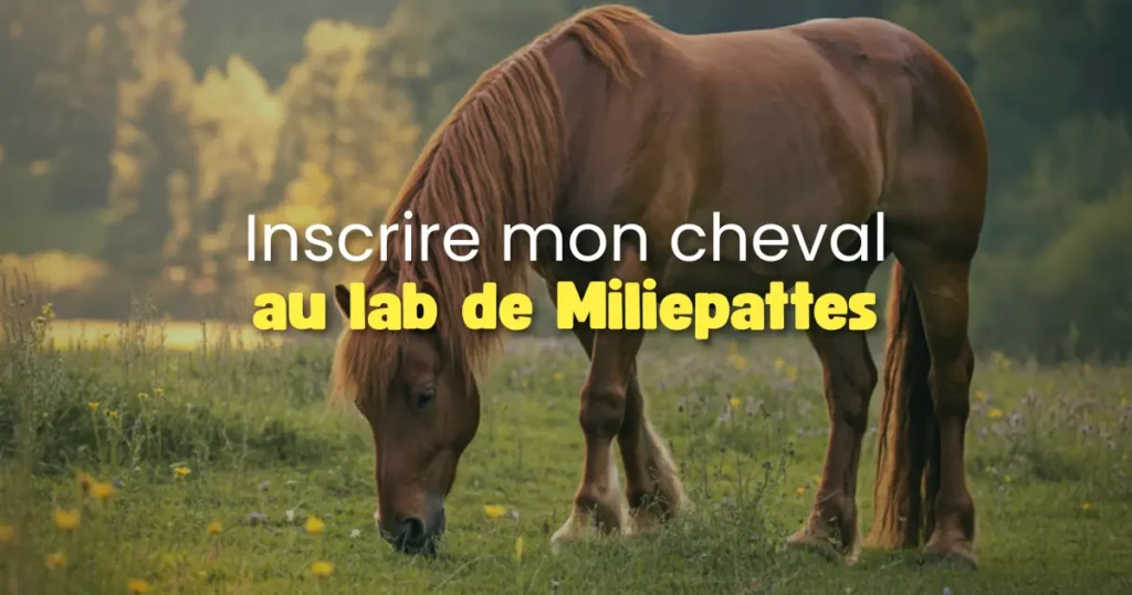 Inscrire mon cheval au Lab de Miliepattes⎜Marche à suivre