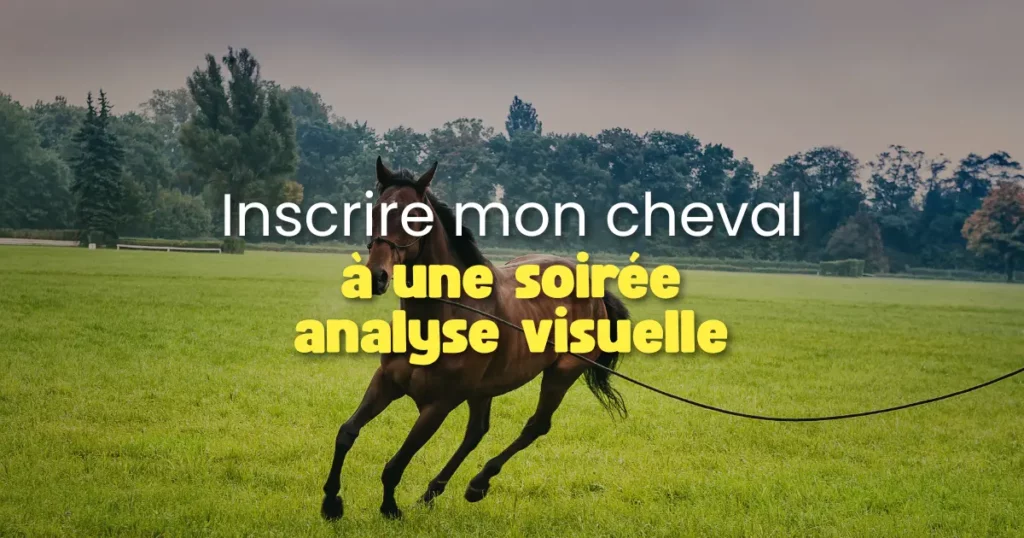 Inscrire mon cheval à une soirée d&rsquo;analyse visuelle ⎜Marche à suivre