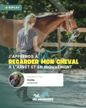 Tu observes quoi quand tu vois un cheval se déplacer ? Miliepattes te délivre une boîte à outils méthodique pour structurer ton regard, repérer les signaux clés et ne plus passer à côté des détails.